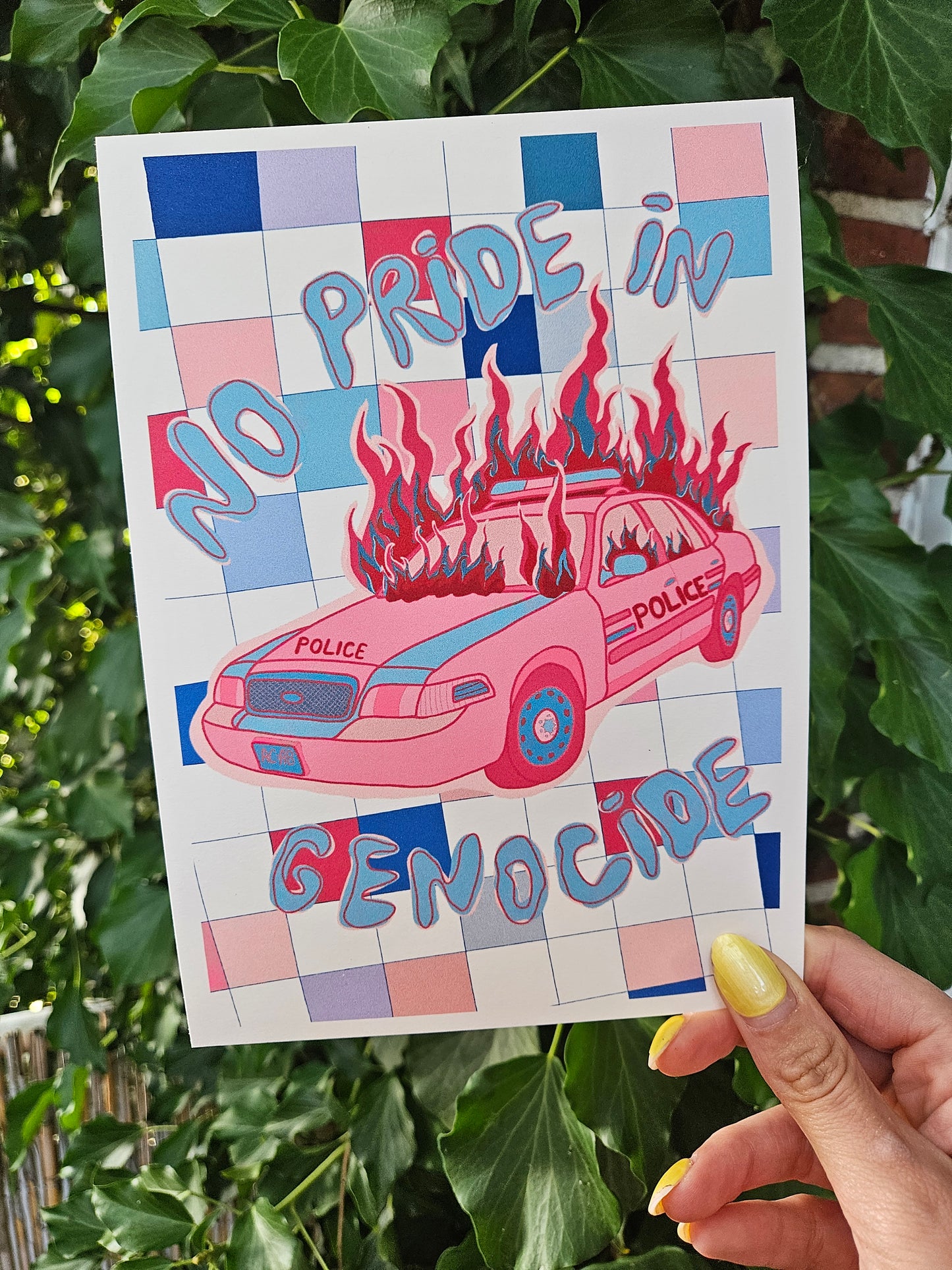 postcard "no pride in genocide" trans flag colours