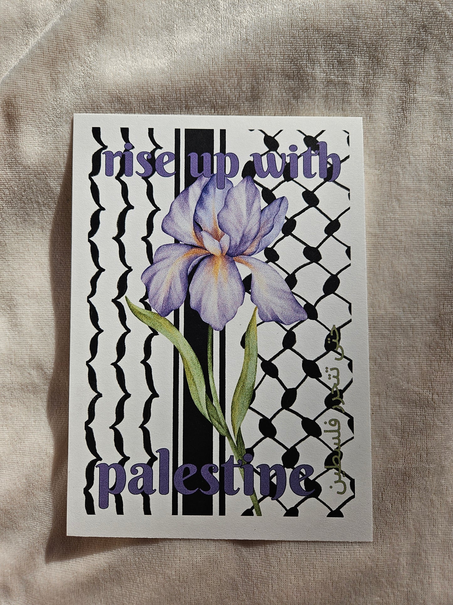 print "iris faqqu'a on keffiyeh"