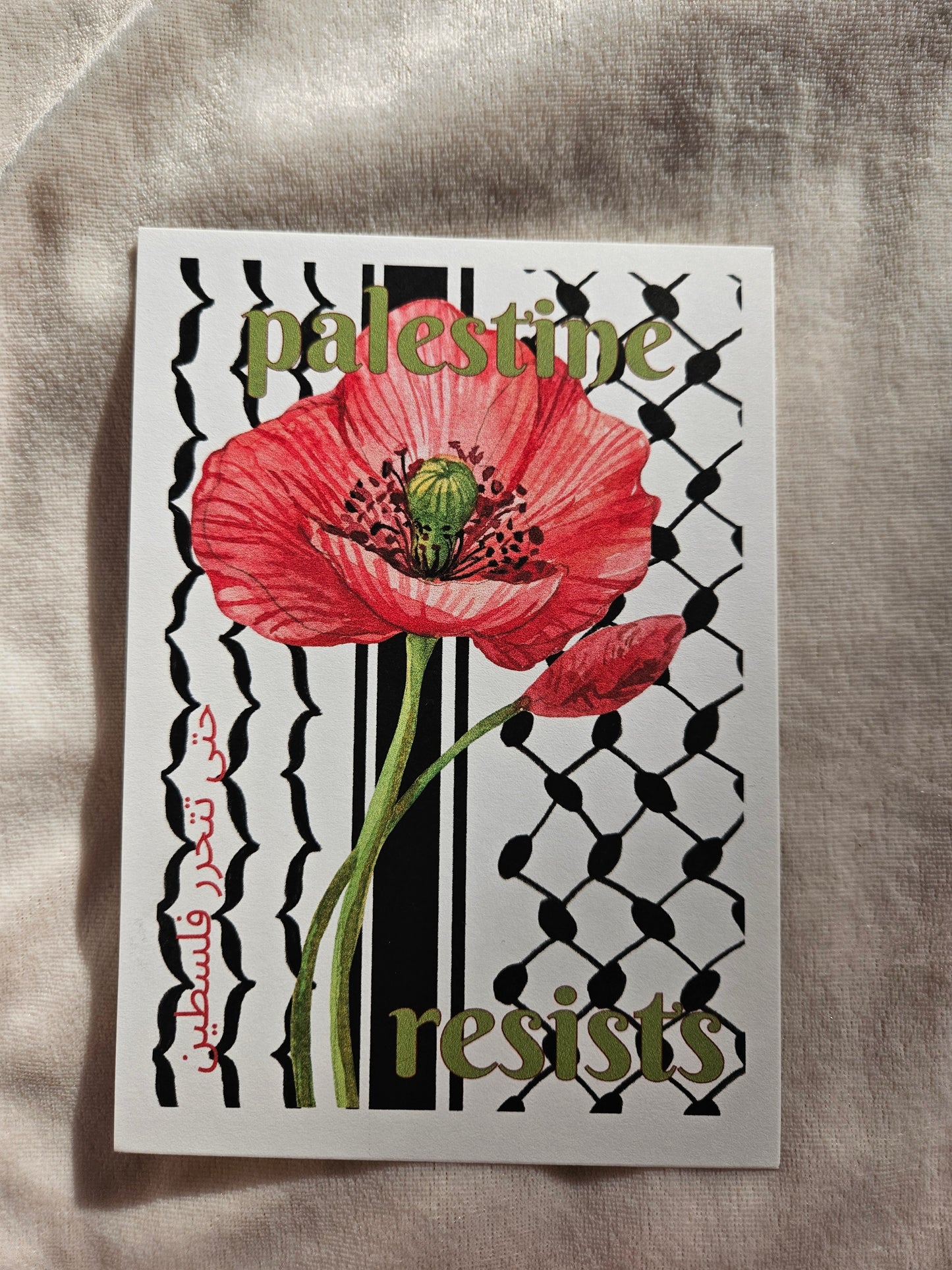 print "poppy on keffiyeh"