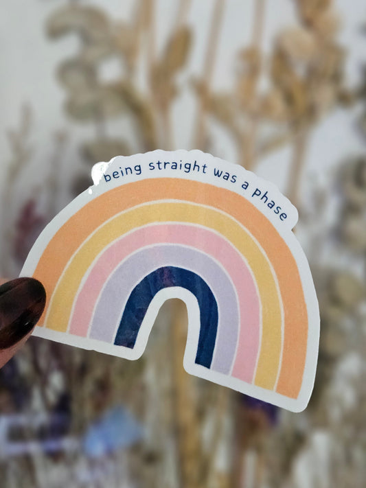 being straight was a phase sticker