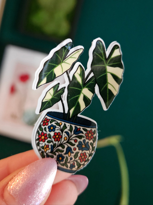 alocasia sticker