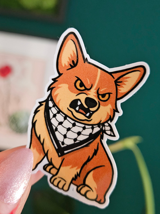 Ali with keffiyeh sticker