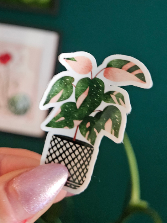 keffiyeh pink philodendron sticker