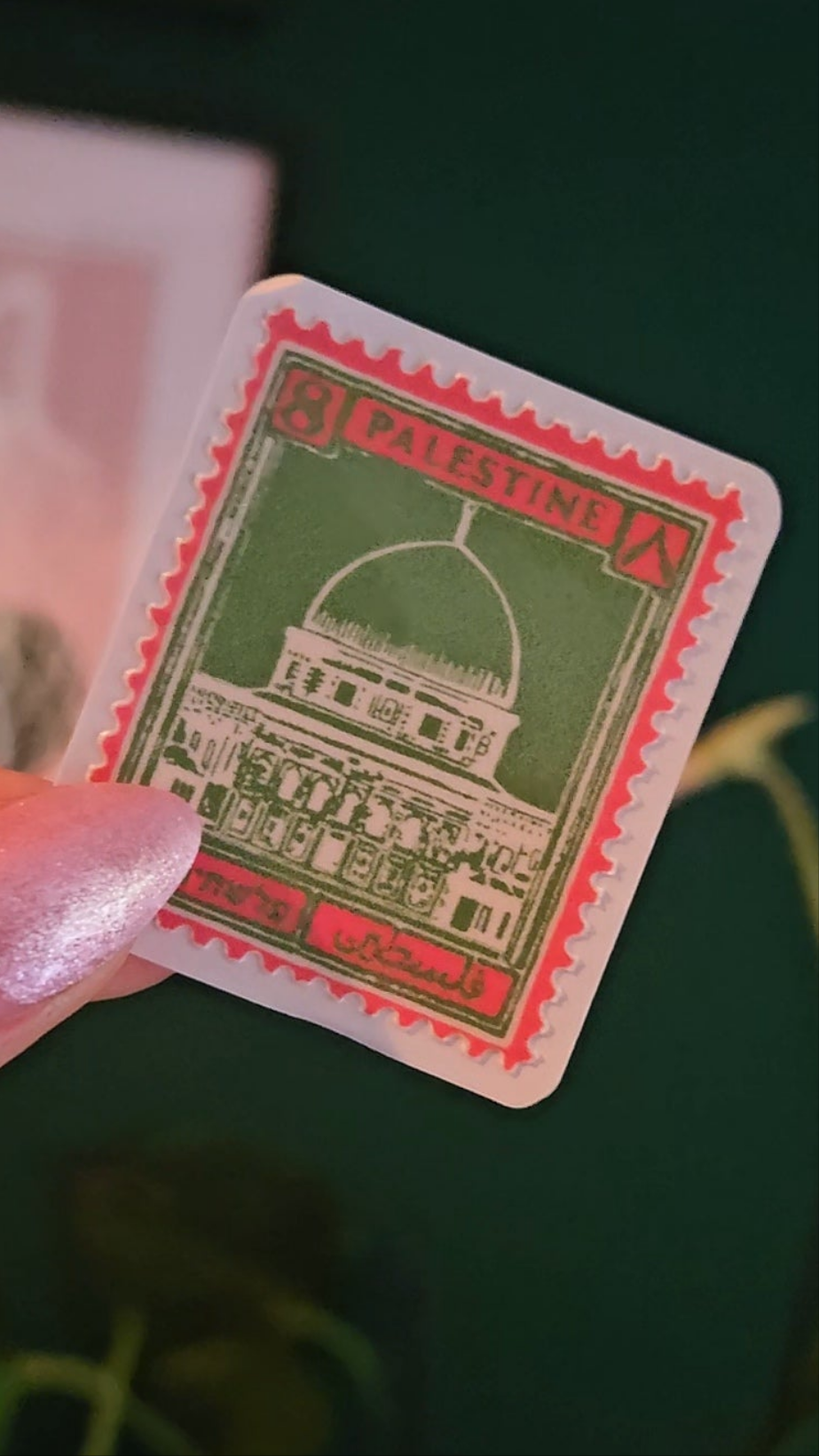 colourpop palestine stamp green/pink