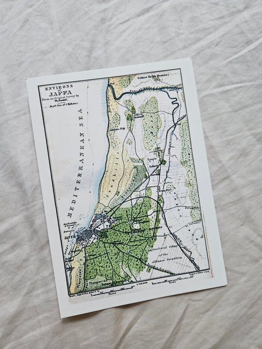 print of map "environs of jaffa "