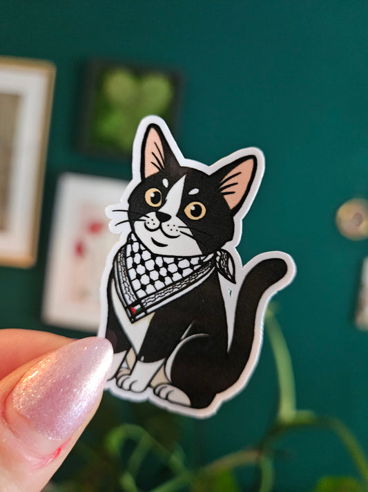 Ilyas with keffiyeh sticker