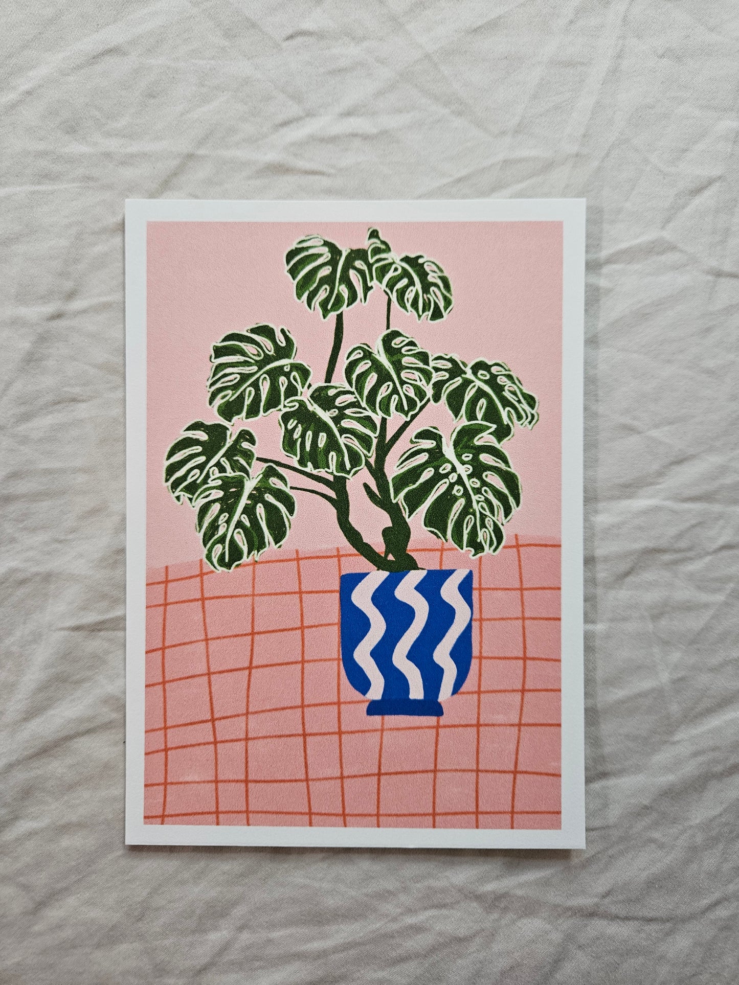 postcard "illustrated monstera"