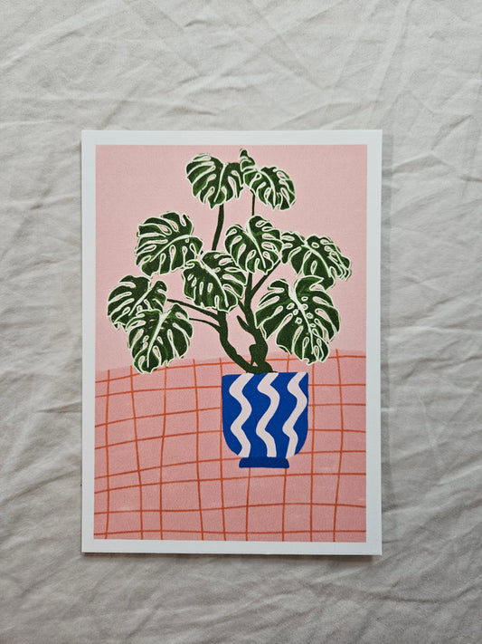postcard "illustrated monstera"