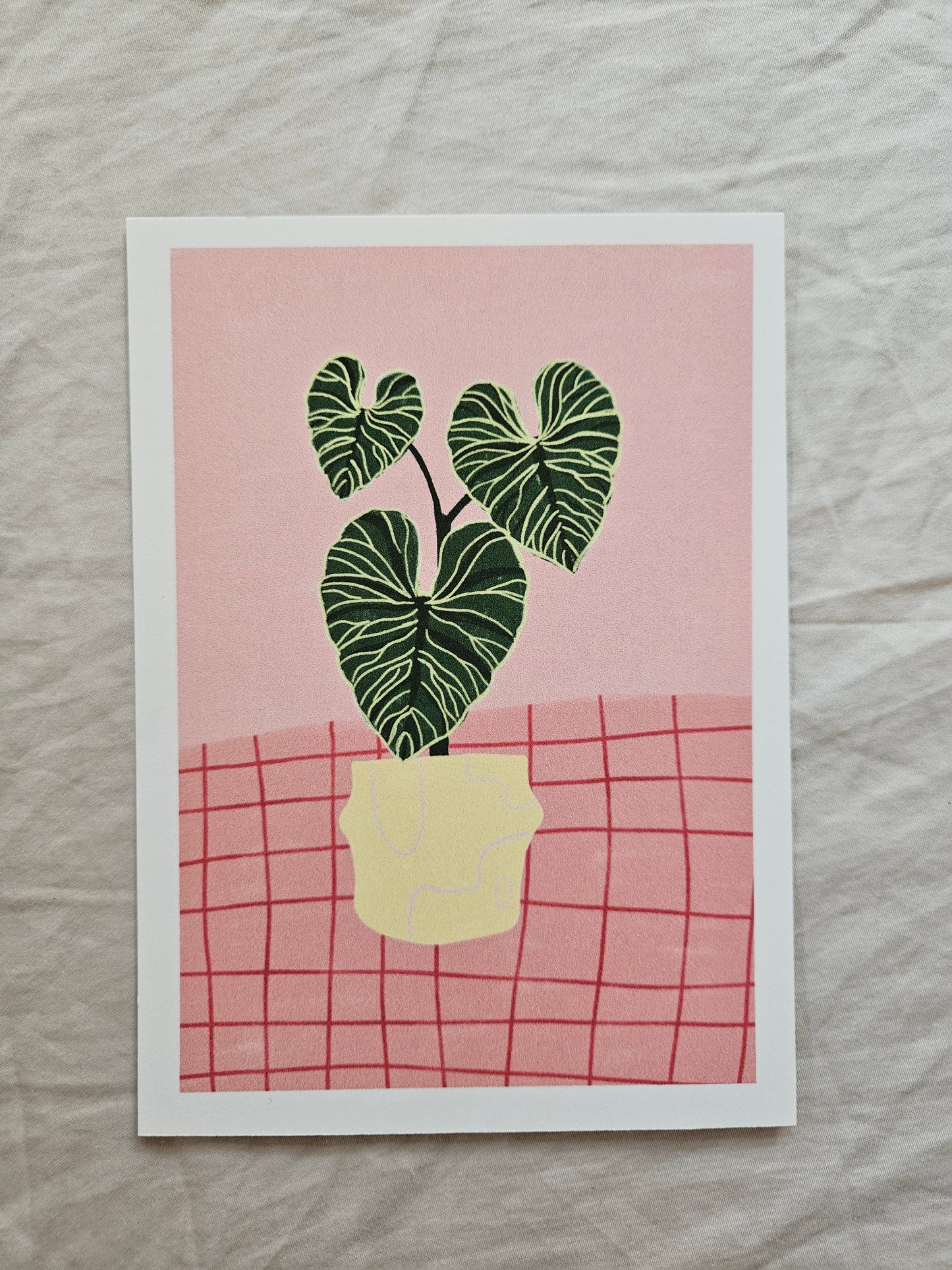 postcard "illustrated philodendron"