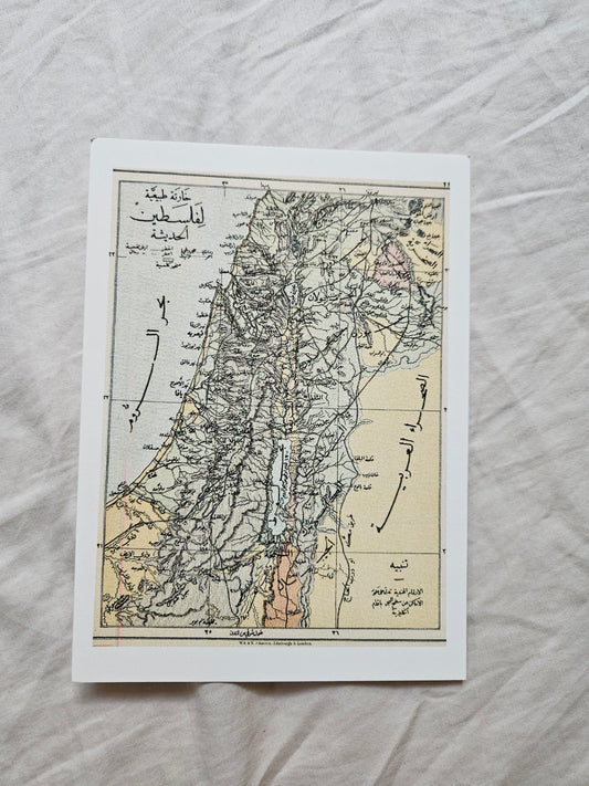 print of "a natural map of modern palestine"