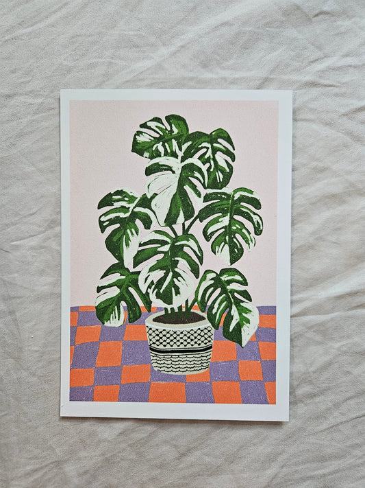 postcard "illustrated palestine monstera"
